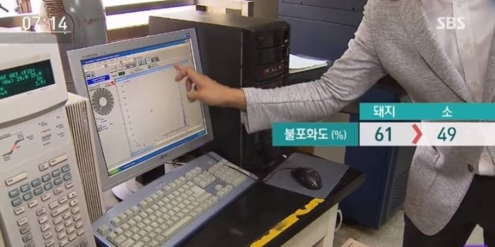 돼지 비계에 관한 진실.jpg | 인스티즈