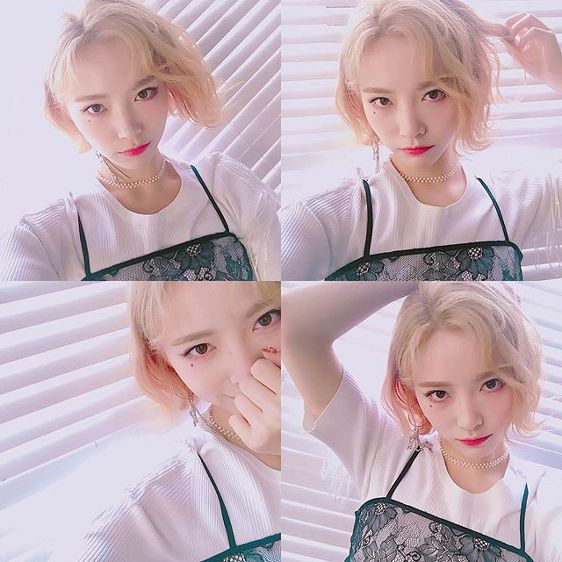 단발이 신의 한수가 된 중국 아이돌 | 인스티즈