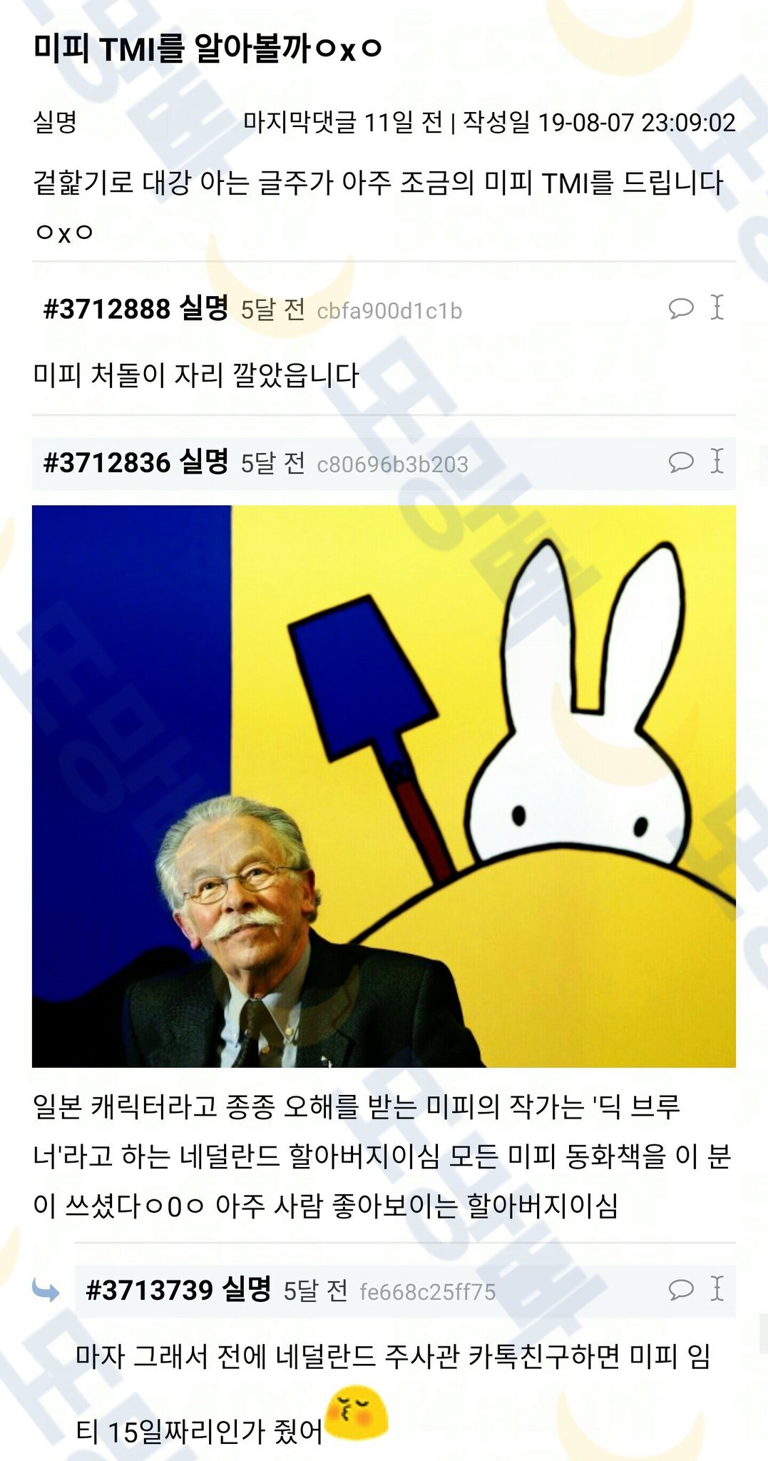 미피 TMI를 알아볼까ㅇxㅇ (스압) | 인스티즈