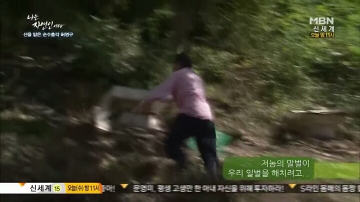 나는 자연인이다 말벌킬러 허명구씨ㅋㅋㅋㅋㅋㅋ | 인스티즈