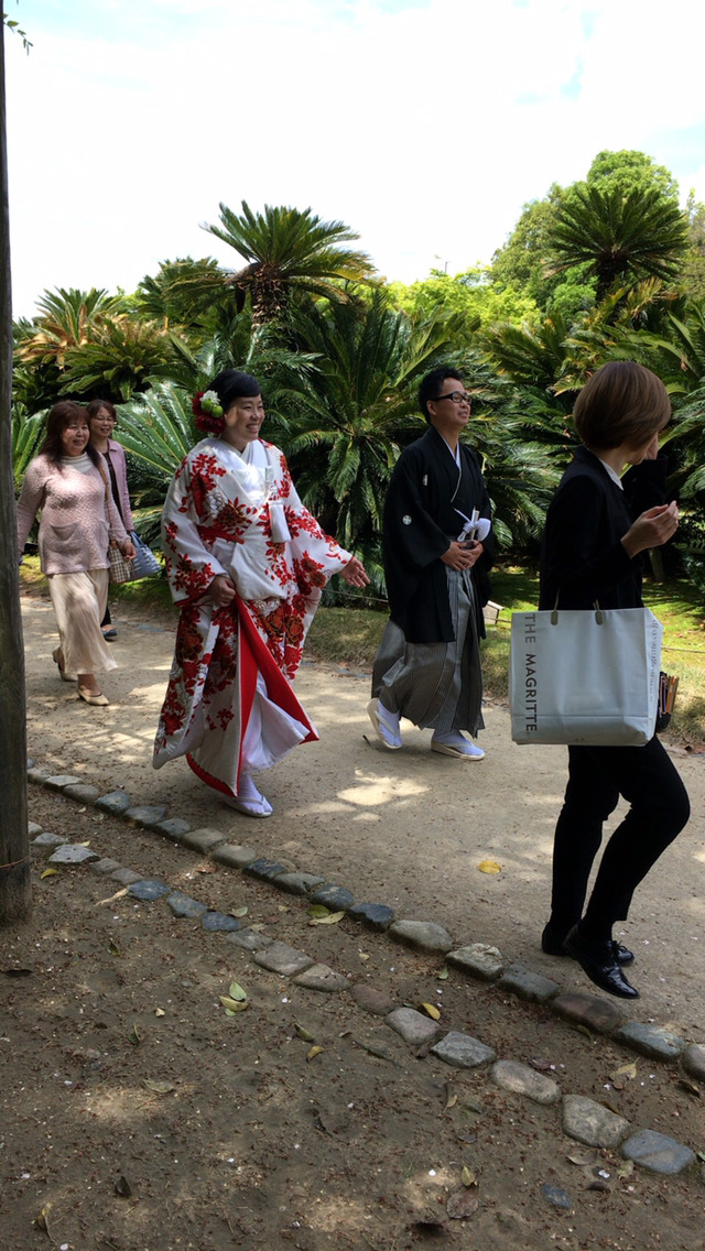 나홀로 교토여행 13박14일(6일차-1 오카야마성,고라쿠엔,구라시키미관지구) | 인스티즈