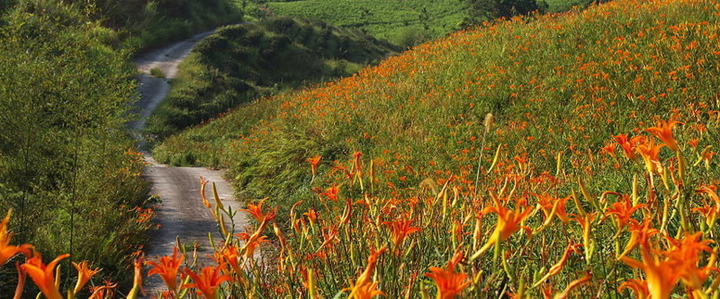  방안에서 하는 세계 여행 (①대만-화롄) | 인스티즈
