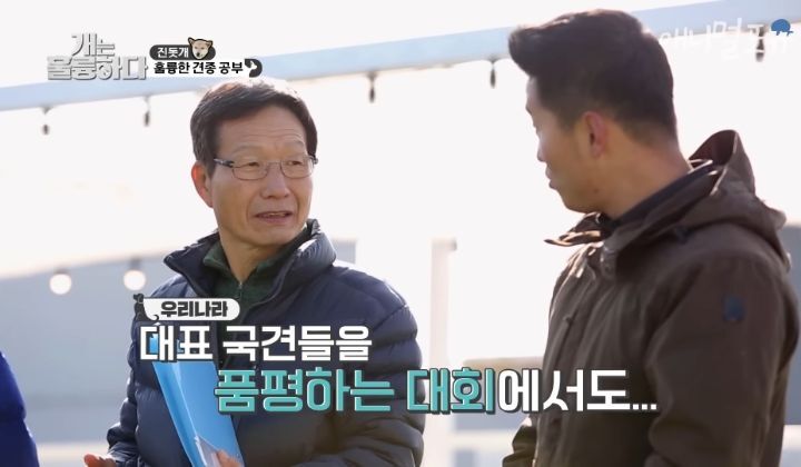 [개는 훌륭하다] 우리나라 진돗개 원탑이라는 아치 | 인스티즈