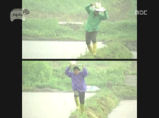 무한도전을 즐겨보던 사람들이라면 짤만 봐도 생각날 편들.jpg | 인스티즈