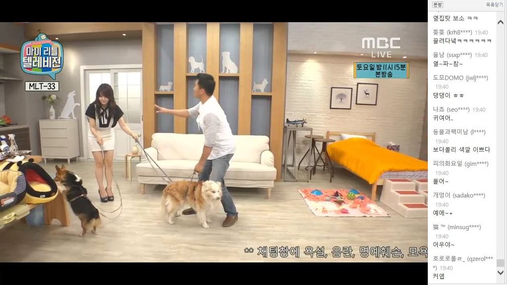 강형욱 훈련사가 알려주는 애견키우기 팁(feat 마리텔) | 인스티즈