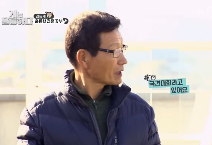 [개는 훌륭하다] 우리나라 진돗개 원탑이라는 아치 | 인스티즈
