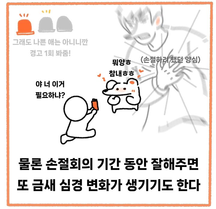 INFJ와 ISFJ가 손절 고민할 때 특징.jpg | 인스티즈