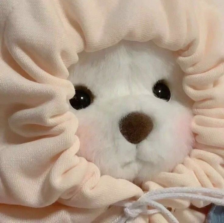 요즘 프사로 많이 보이는 귀여운 곰인형! 레나베어🧸 | 인스티즈