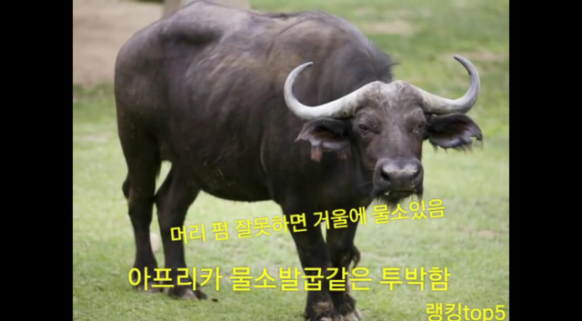 남자들이 싫어하는 여자패션 top5 .jpg | 인스티즈