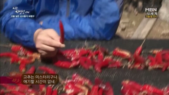 나는 자연인이다 말벌킬러 허명구씨ㅋㅋㅋㅋㅋㅋ | 인스티즈