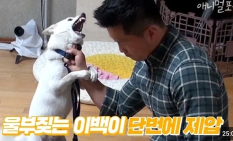 강형욱의 논란들에 대한 정리 feat.설채현 | 인스티즈