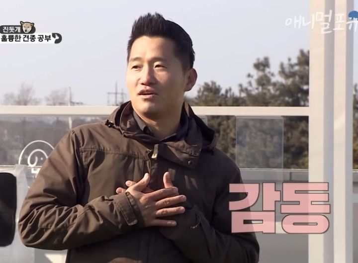 [개는 훌륭하다] 우리나라 진돗개 원탑이라는 아치 | 인스티즈