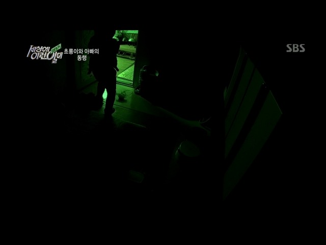 [세상에이런일이] 딸을 업고 오토바이 배달하는 아빠 | 인스티즈