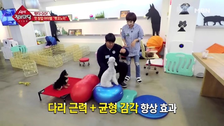 겁나 체계적인 강아지 유치원.jpg | 인스티즈