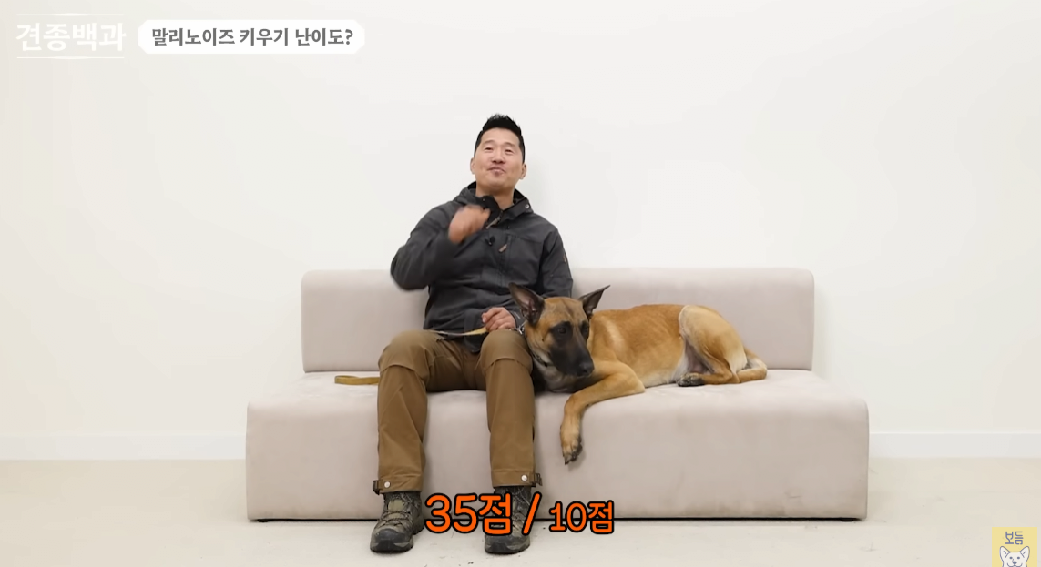 강형욱 피셜 : 강아지 키우려면 난이도는 알고 가라 | 인스티즈