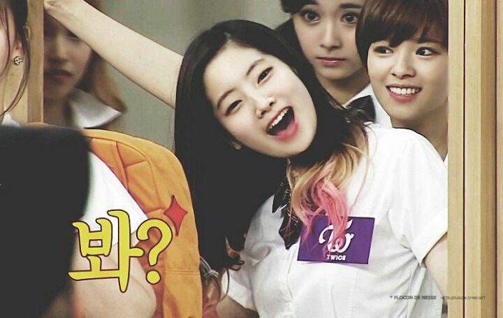 트와이스 유일한 무쌍 | 인스티즈