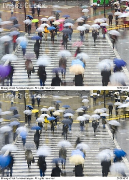 적녹색약이 보는 세상 | 인스티즈