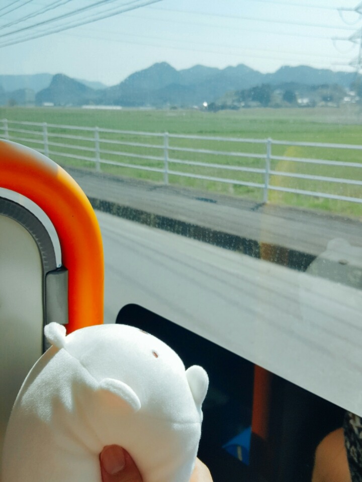 일본 시골마을에서 찍은 사진들 | 인스티즈