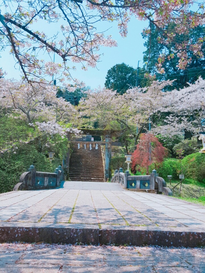 일본 시골마을에서 찍은 사진들 | 인스티즈