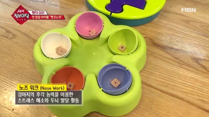 겁나 체계적인 강아지 유치원.jpg | 인스티즈