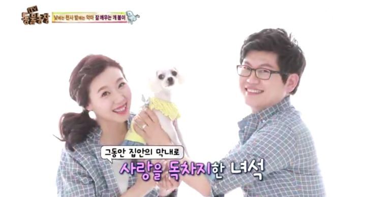 새가족이 생기자 불안해하며 가족들을 괴롭히는 반려견 봄이 | 인스티즈