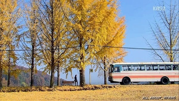  각 계절의 냄새가 나는 드라마들 | 인스티즈