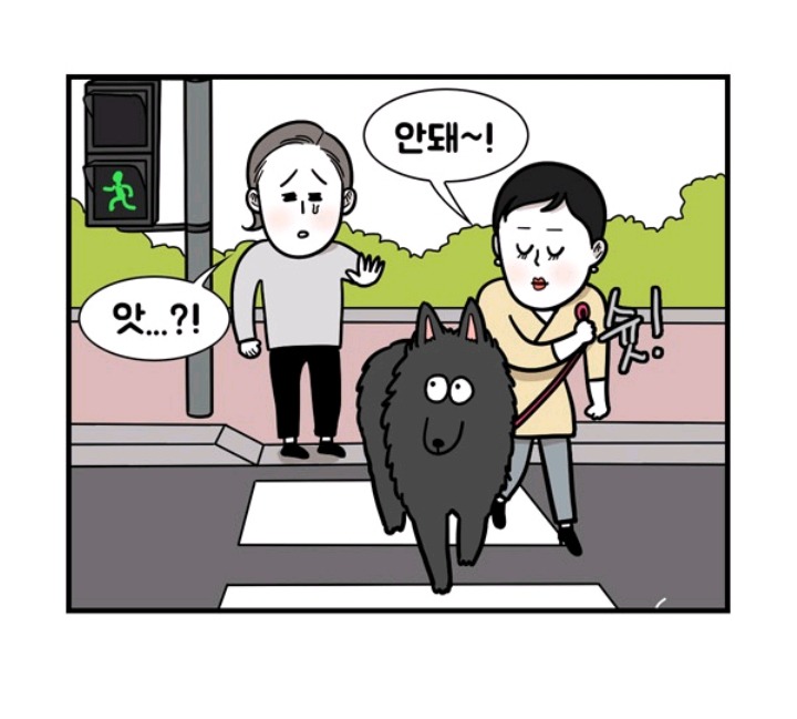개 좋아하는 사람 특징 | 인스티즈