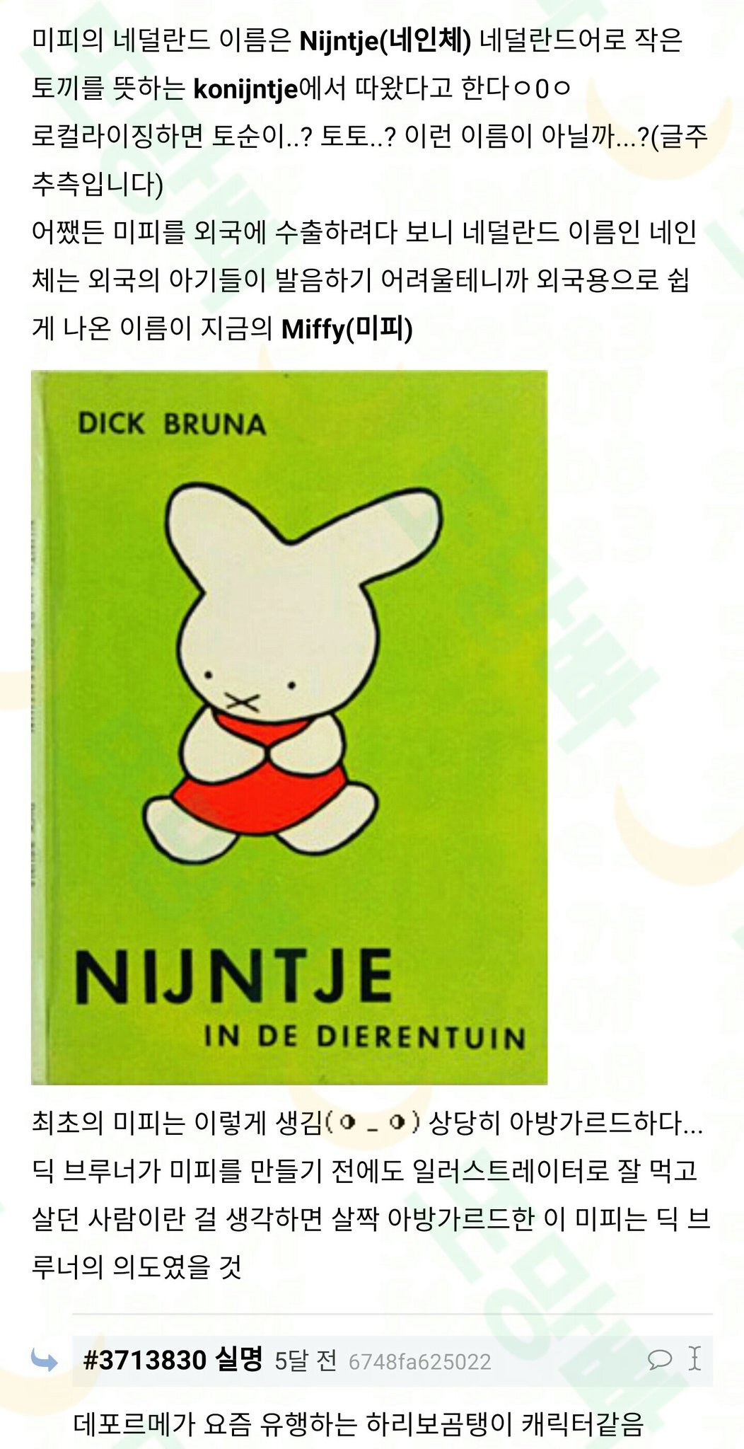 미피 TMI를 알아볼까ㅇxㅇ (스압) | 인스티즈