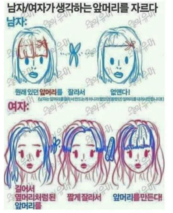 남녀가 생각하는 앞머리를 자르다 | 인스티즈