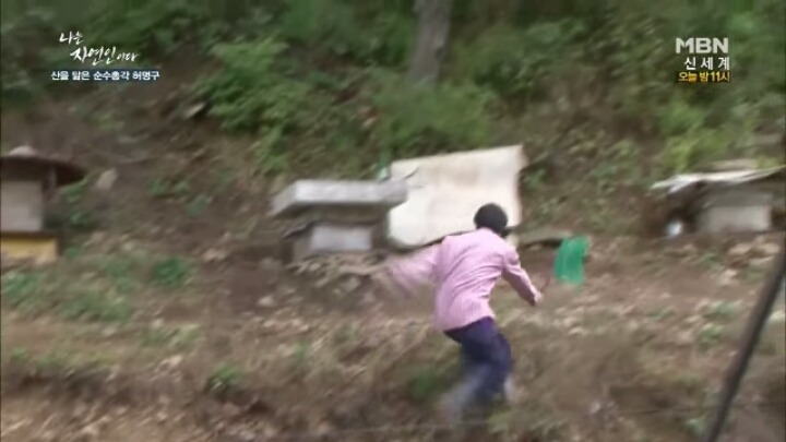 나는 자연인이다 말벌킬러 허명구씨ㅋㅋㅋㅋㅋㅋ | 인스티즈