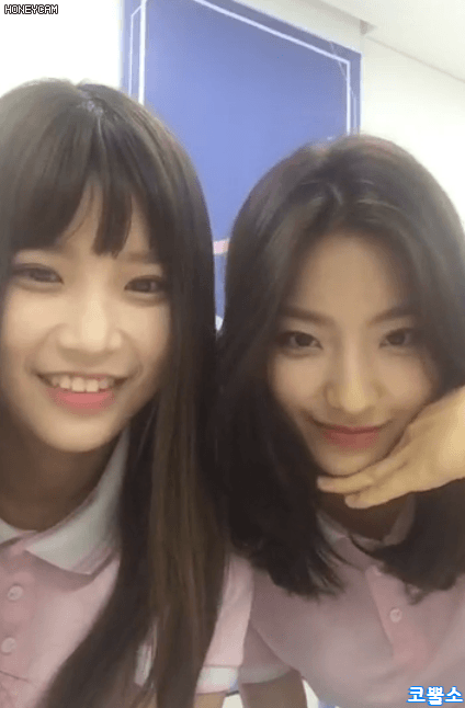 송하영 짤 텁니다(2).gif | 인스티즈