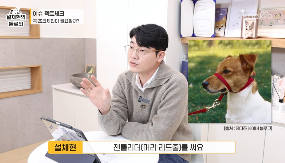 강형욱의 논란들에 대한 정리 feat.설채현 | 인스티즈