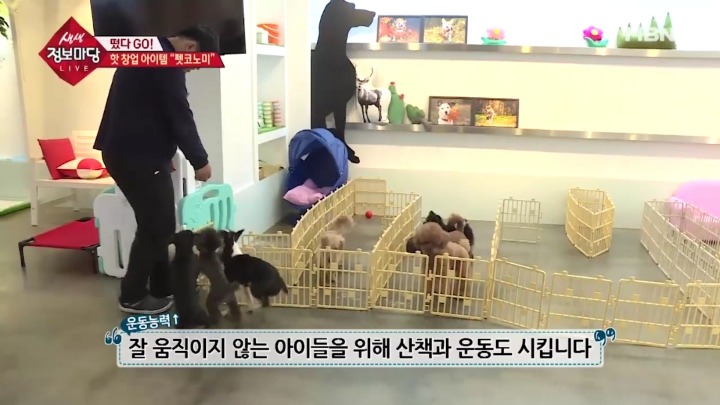 겁나 체계적인 강아지 유치원.jpg | 인스티즈