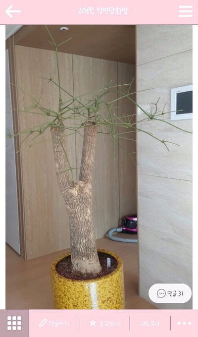 ??? : 아 첫키스하는데 남친이 가슴만짐 | 인스티즈