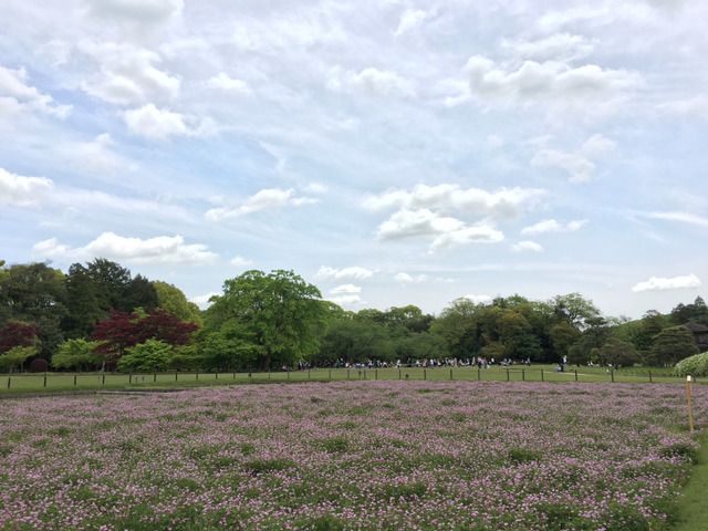 나홀로 교토여행 13박14일(6일차-1 오카야마성,고라쿠엔,구라시키미관지구) | 인스티즈