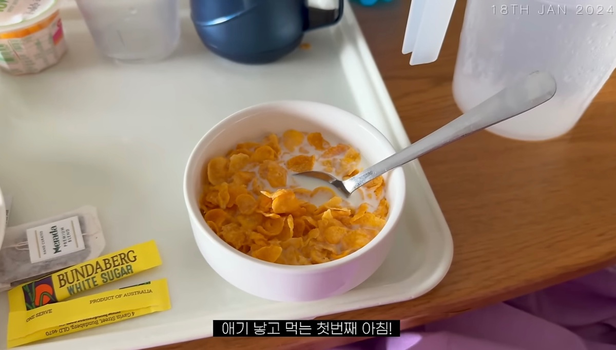 일부 한국인들이 해쭈 출산in호주 브이로그 보고 문화차이에 놀란 이유 | 인스티즈