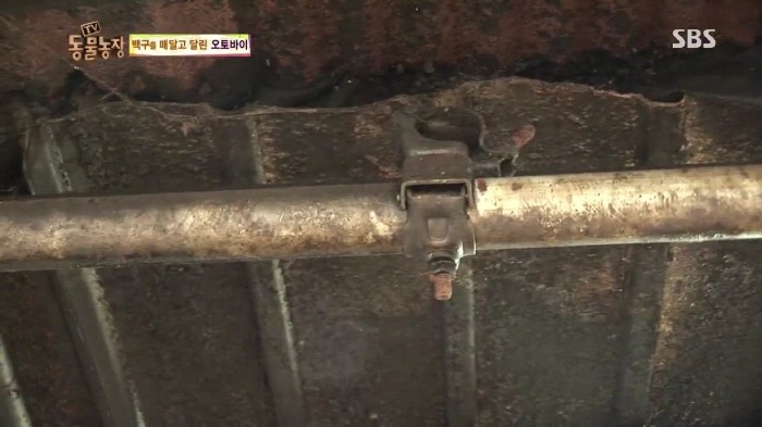 [TV동물농장] 동물농장에서 방송된 인천의 한 개 도축장의 현실.jpg | 인스티즈