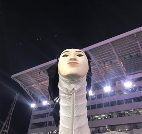 인면조 가까이서 본 사진(넘 가까워서 놀랄 수 있음) | 인스티즈