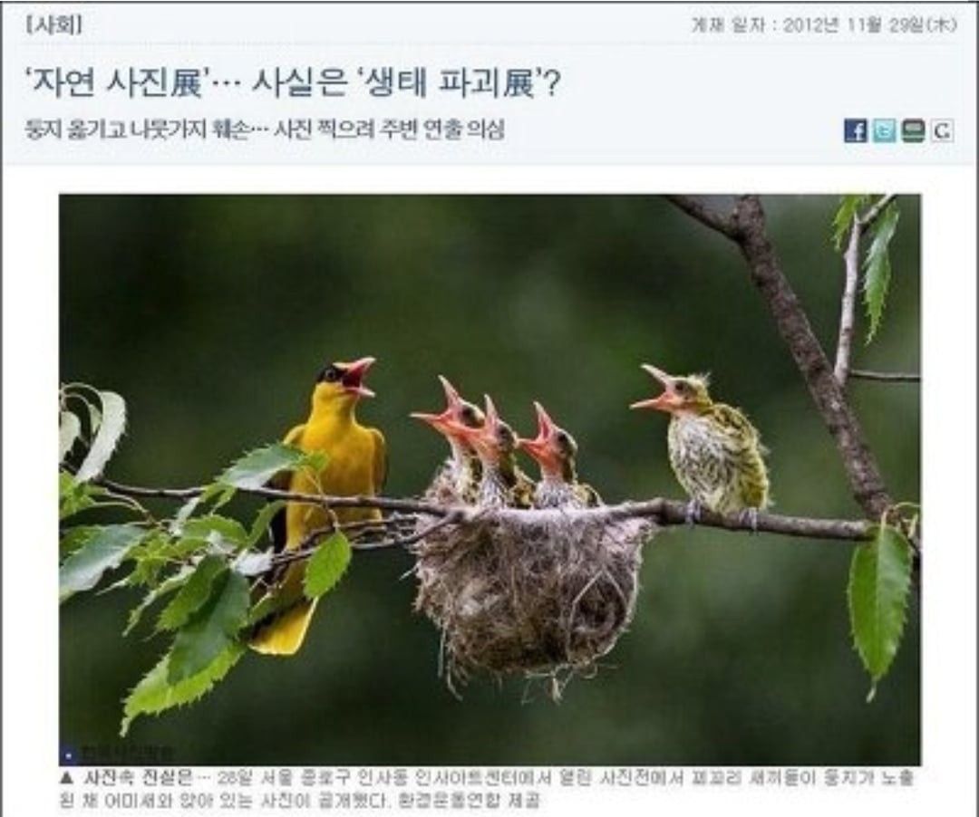 새 괴롭혀서 사진찍는 사진작가 | 인스티즈
