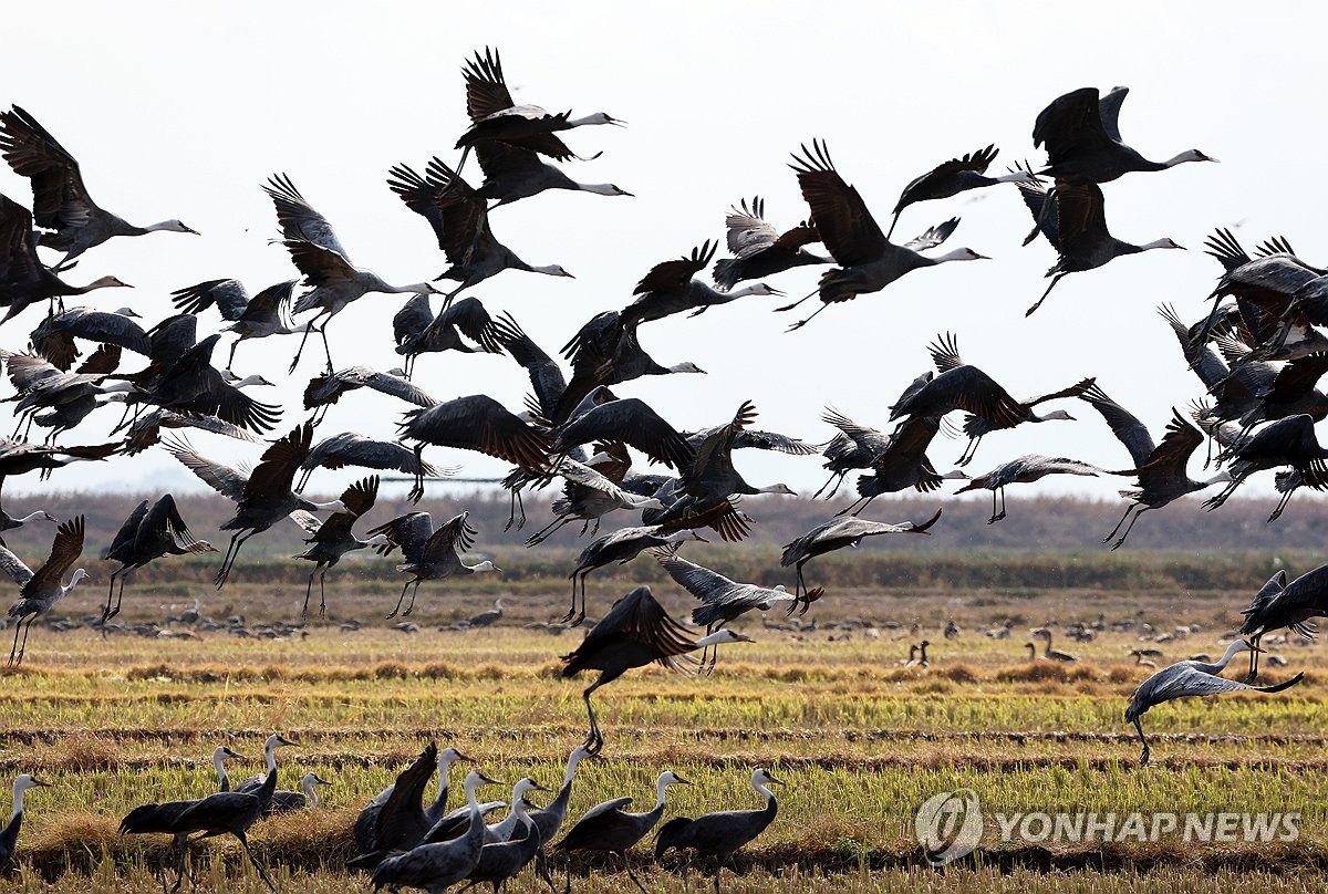 좋은 일을 해서 축복 받은 듯한 도시.jpg | 인스티즈