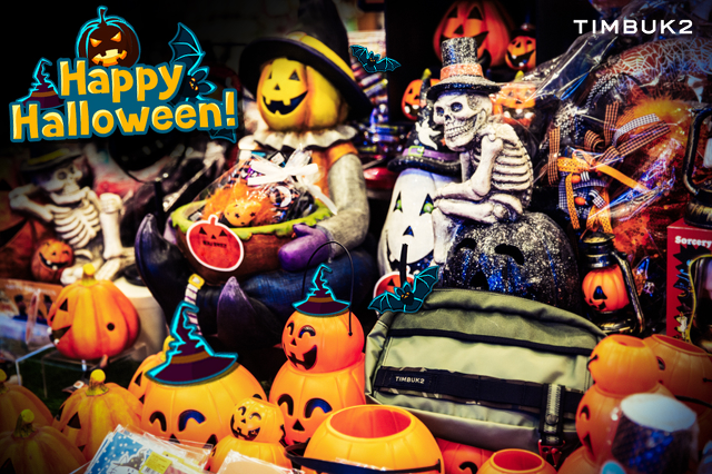 의외로 이 분위기 무서워 하는 사람 많음 | 인스티즈