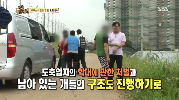 [TV동물농장] 동물농장에서 방송된 인천의 한 개 도축장의 현실.jpg | 인스티즈