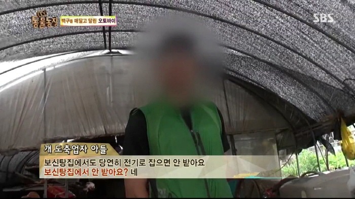 [TV동물농장] 동물농장에서 방송된 인천의 한 개 도축장의 현실.jpg | 인스티즈