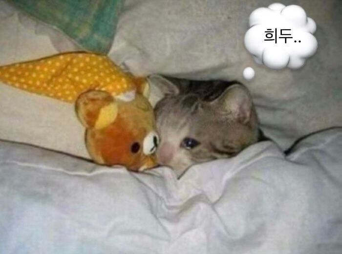 환승연애2 의외의 웃수저 담당.jpg | 인스티즈