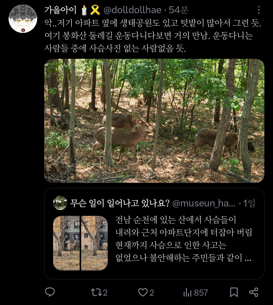 좋은 일을 해서 축복 받은 듯한 도시.jpg | 인스티즈