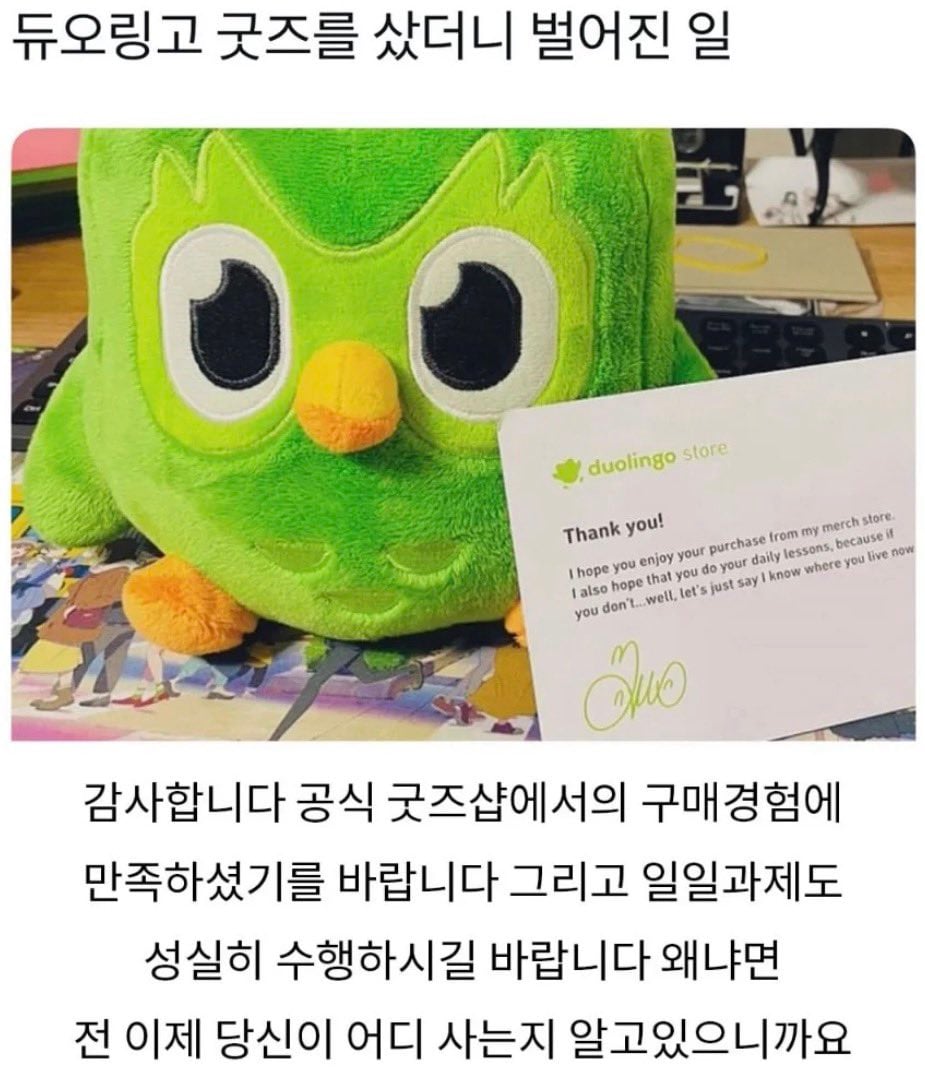 듀오링고 굿즈를 사면 일어나는 일 | 인스티즈