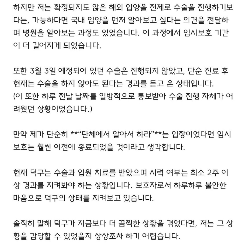 임보견에게 물려 안구탈출, 단체는 책임회피(사진 주의) | 인스티즈