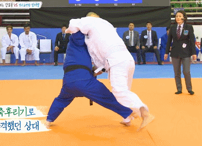 연예계 근육돼지들.JPGIF | 인스티즈