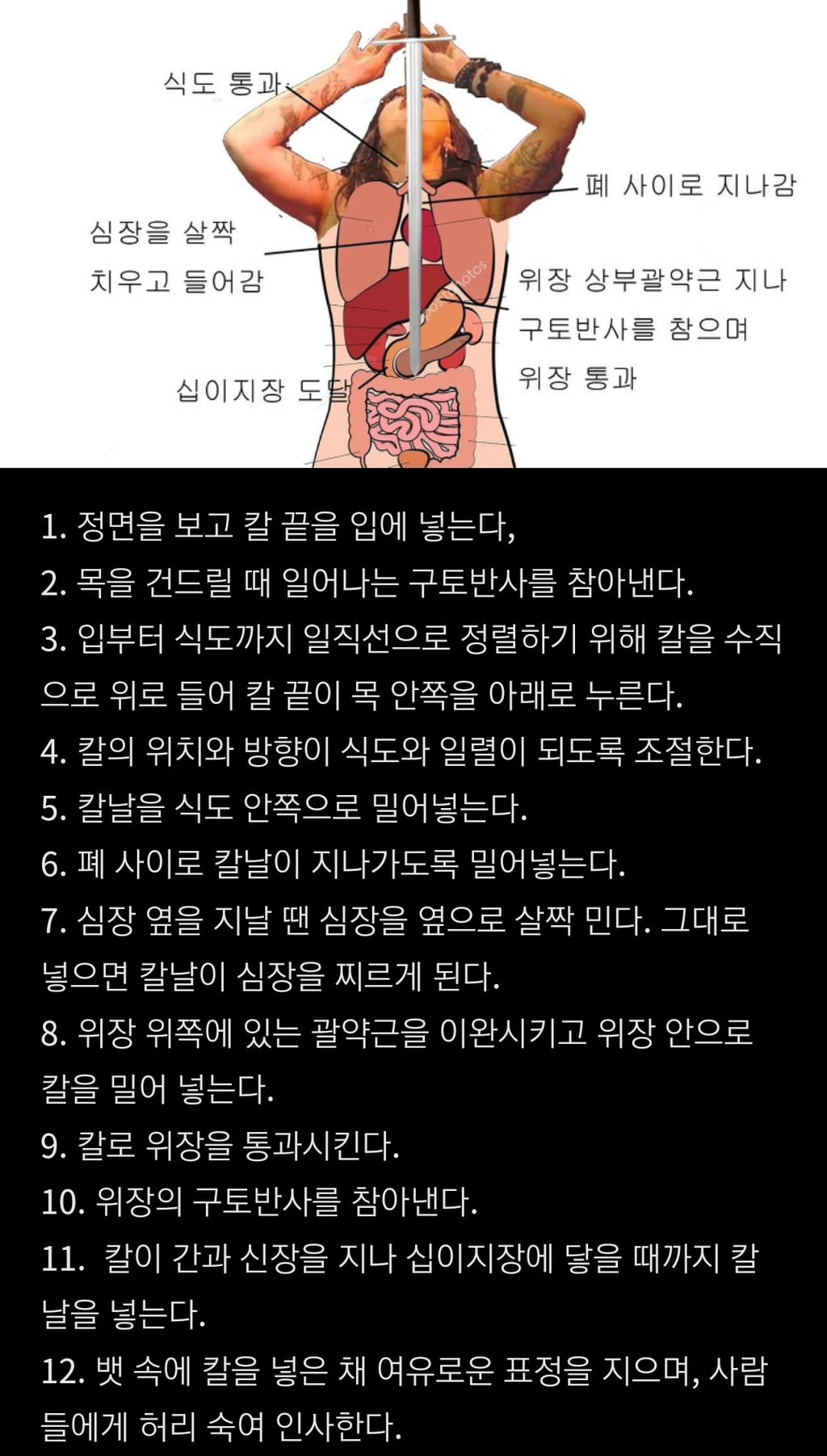 알티타는 충격적인 칼 삼키는 마술의 원리 .. jpg | 인스티즈