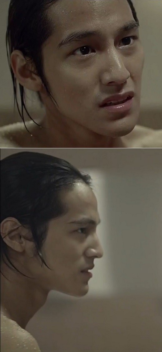 장두형 단두형에 대해서 알아보자 jpg | 인스티즈